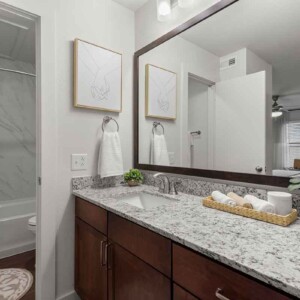 bathroom with granite