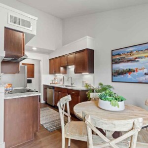 dining and kitchen view