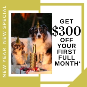 $300 off in January