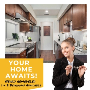 Newly remodeled apartment homes for lease