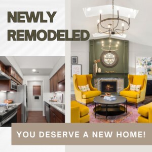 Newly remodeled homes