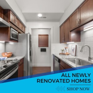 all newly renovated homes